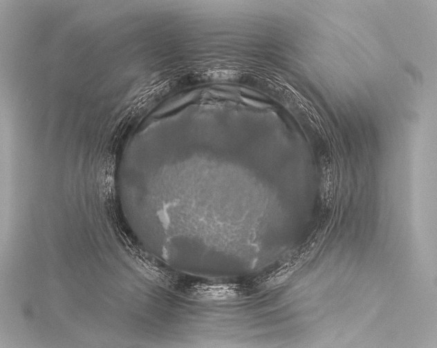 X0000116020553200912041752