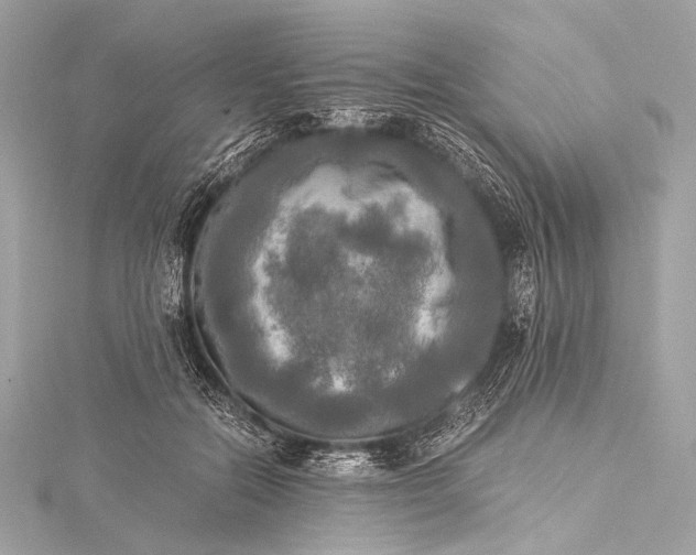 X0000116020554200912041752