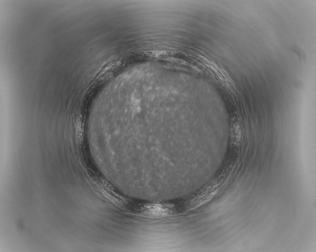 X0000116020558200912041752