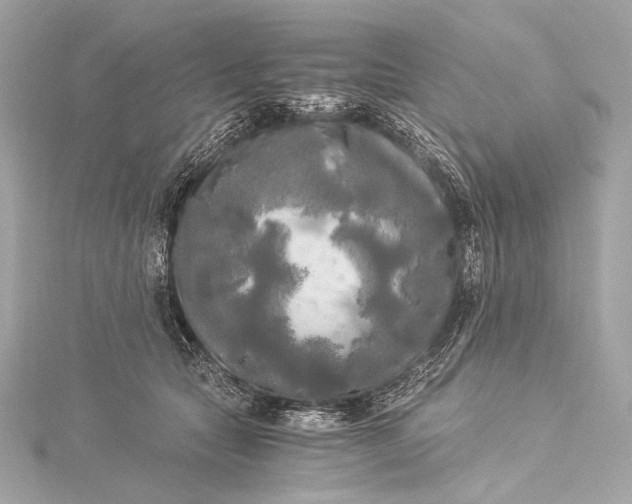 X0000116020561200912041752