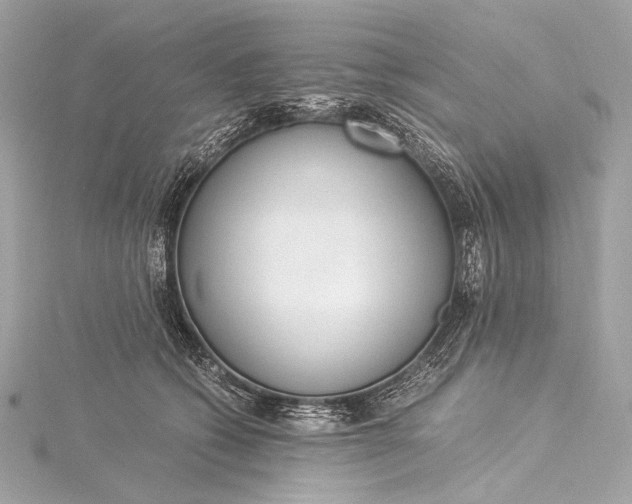 X0000116020562200912041752