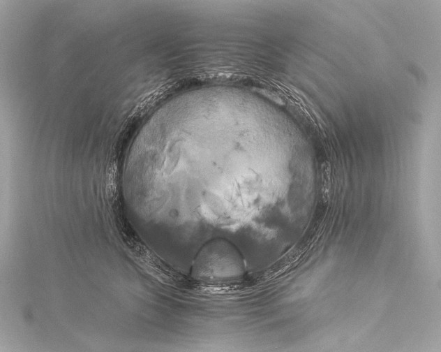 X0000116020563200912041752