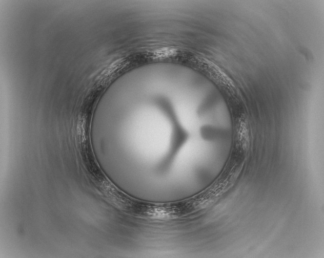 X0000116020565200912041753