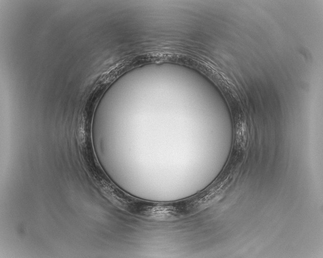 X0000116020566200912041753