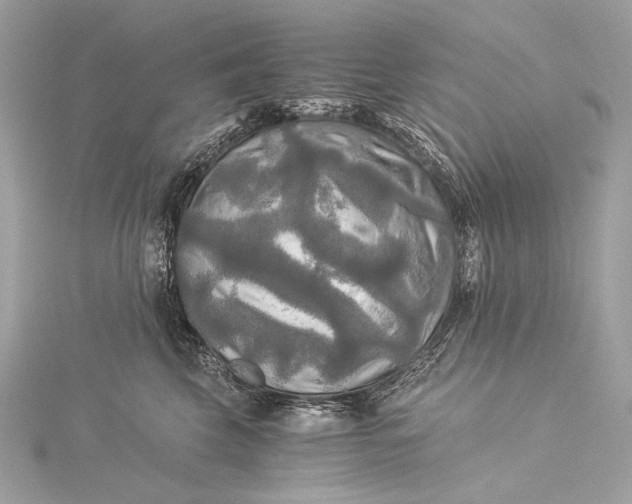 X0000116020569200912041753