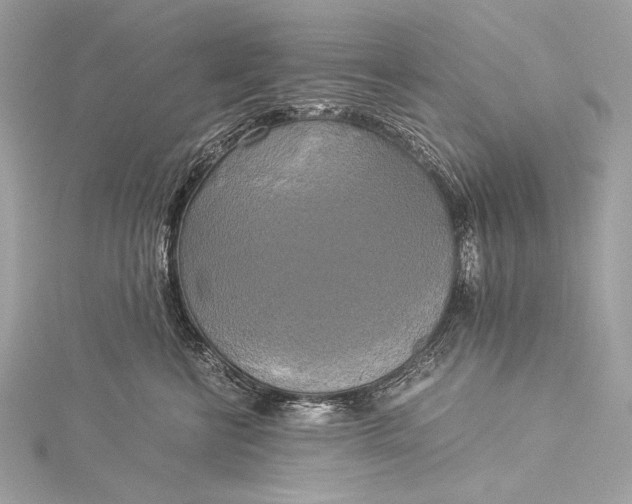 X0000116020570200912041753