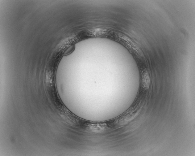 X0000116020571200912041753