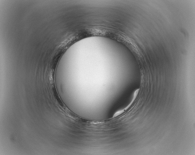 X0000116020573200912041753