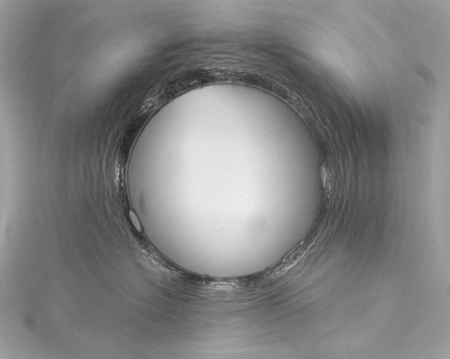 X0000116020574200912041753