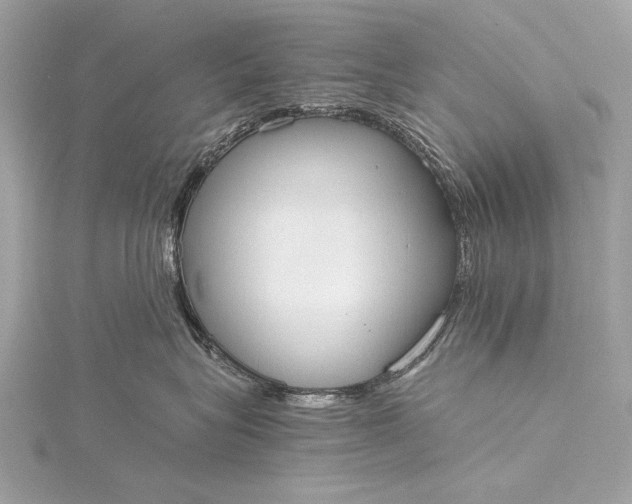 X0000116020575200912041753