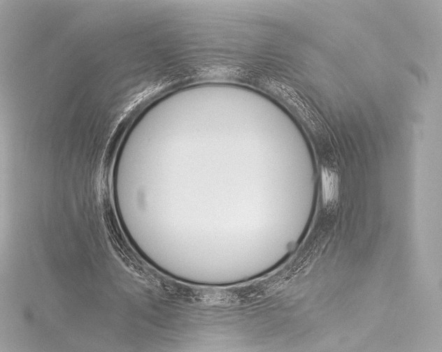 X0000116020579200912041752