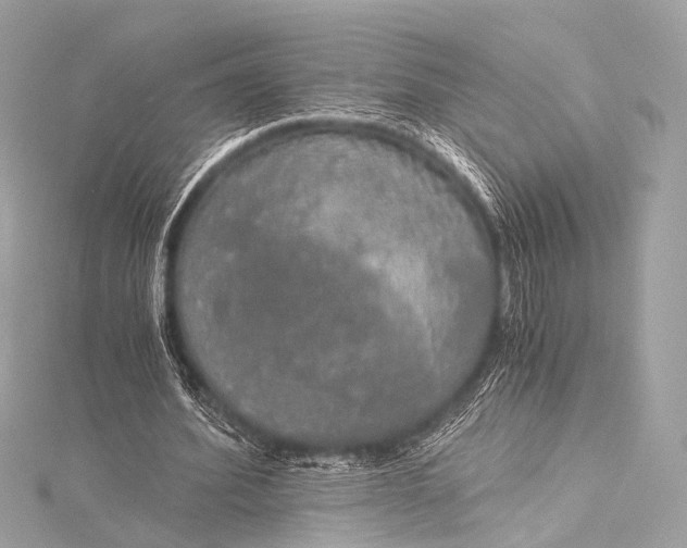 X0000116020580200912041752