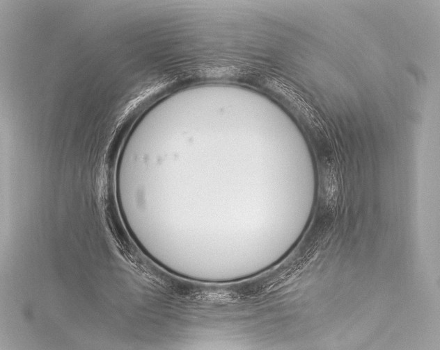 X0000116020583200912041752