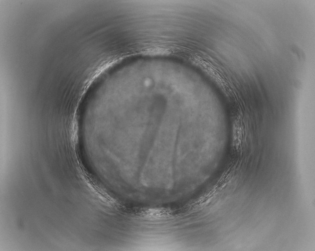 X0000116020584200912041752