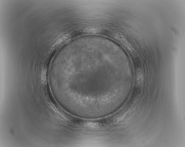 X0000116020585200912041752