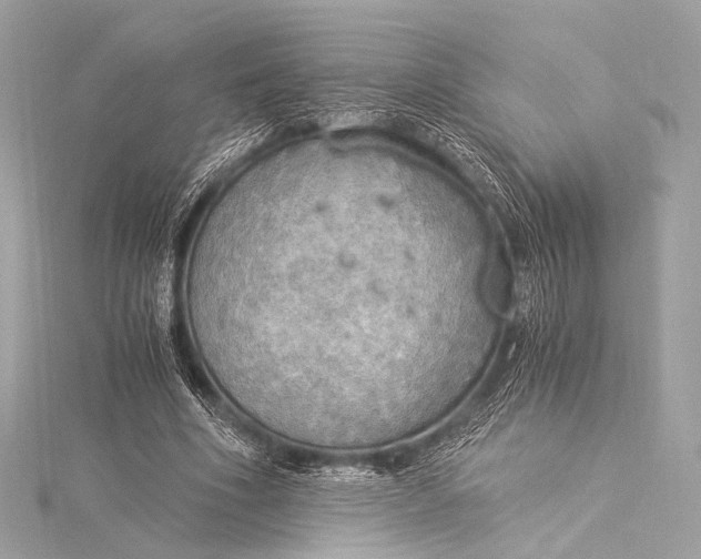 X0000116020586200912041752