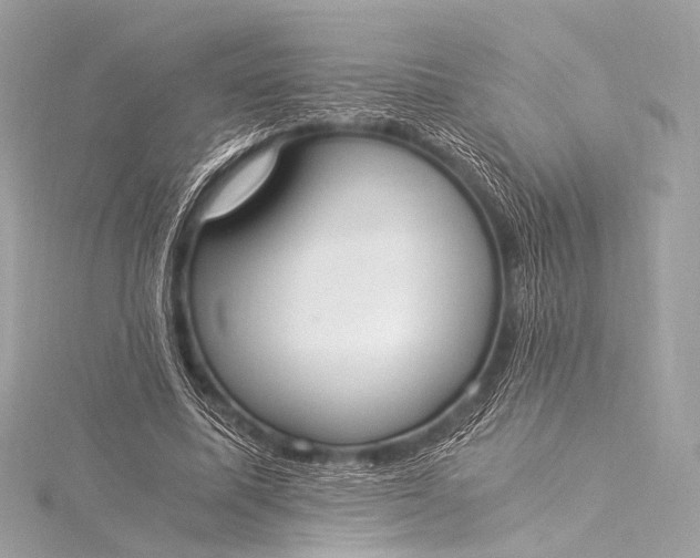 X0000116020587200912041752