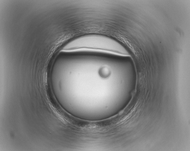 X0000116020589200912041752