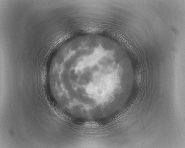 X0000116020591200912041752