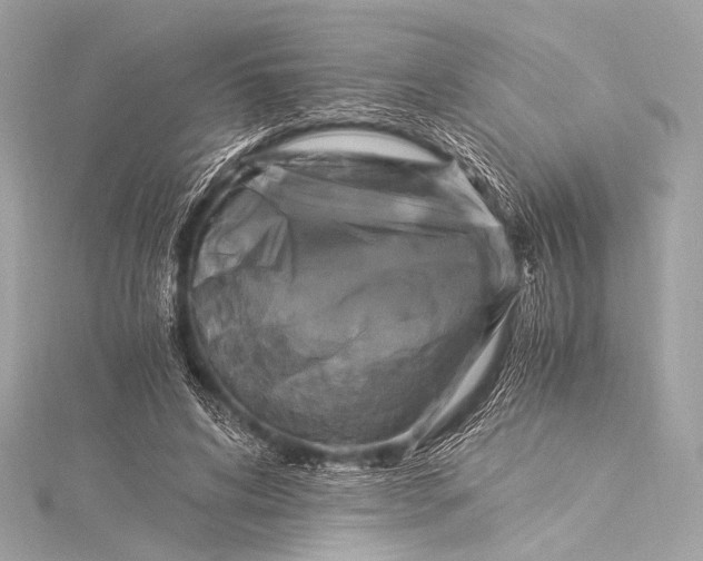 X0000116020592200912041752