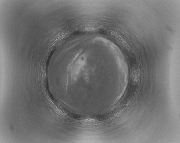 X0000116020593200912041752