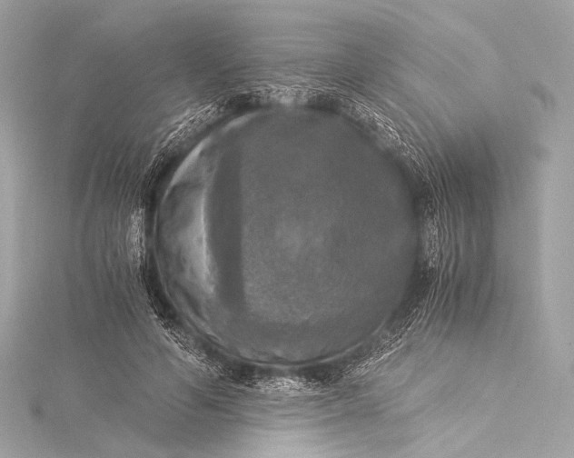 X0000116020594200912041752