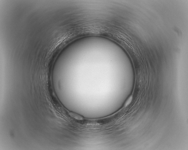 X0000116020595200912041752