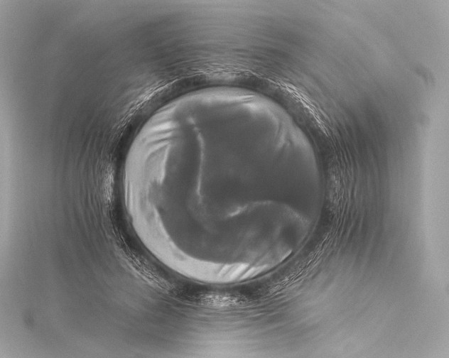 X0000116020596200912041752