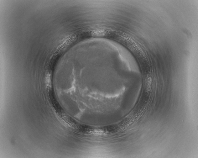 X0000116020598200912041752