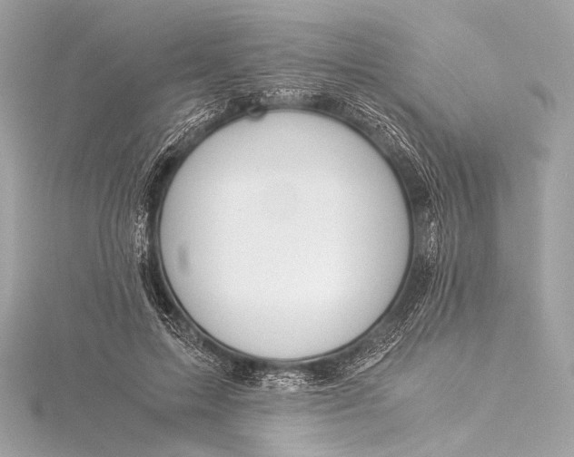 X0000116020599200912041752