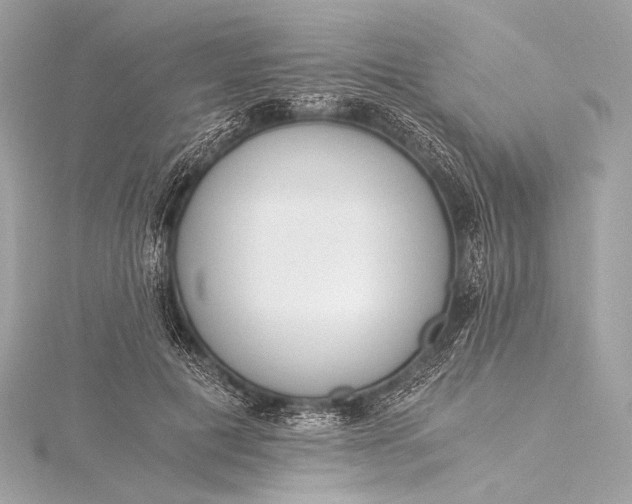 X0000116020601200912041752