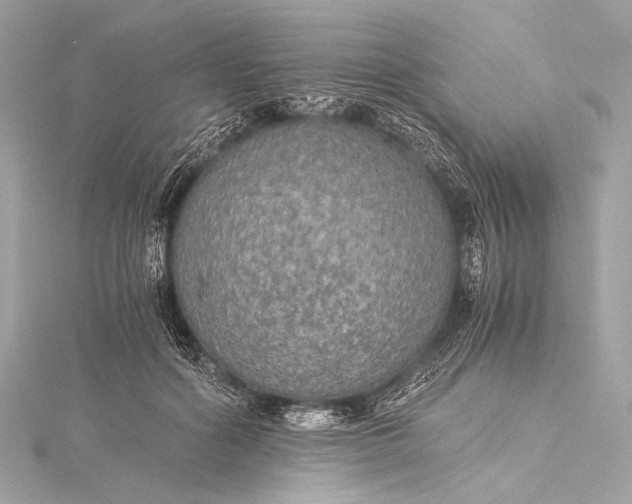 X0000116020602200912041752