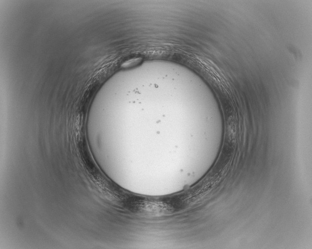 X0000116020605200912041752