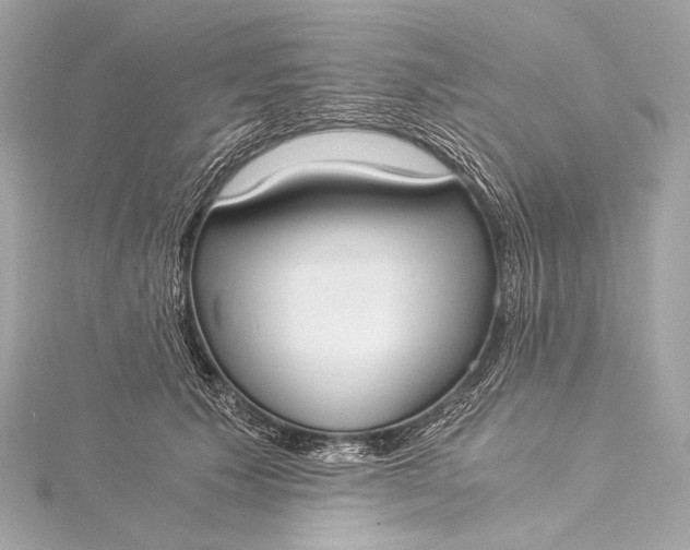 X0000116020609200912041751