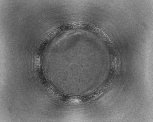 X0000116020610200912041751