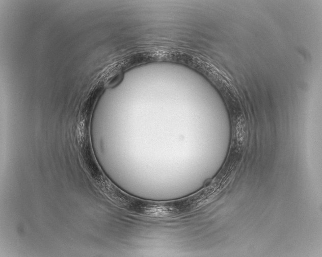 X0000116020611200912041751