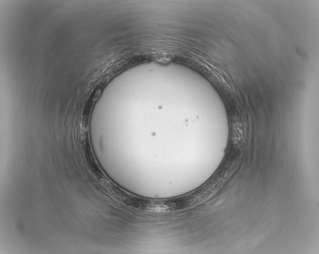 X0000116020613200912041751