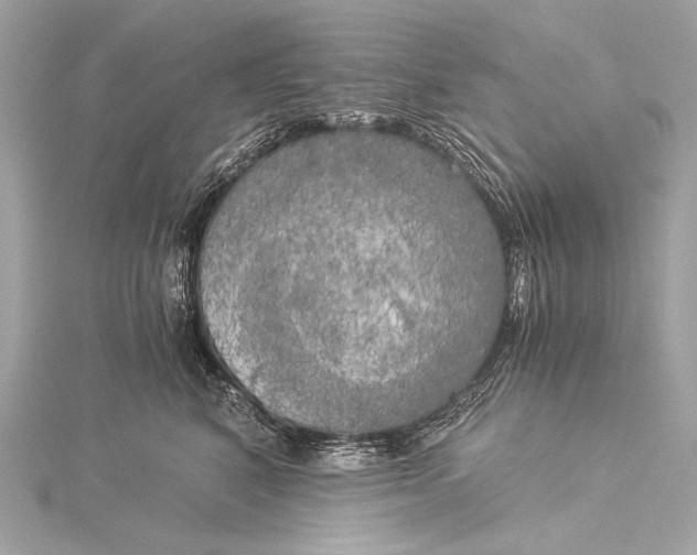 X0000116020616200912041751