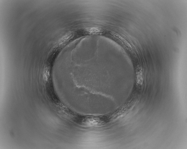 X0000116020618200912041751