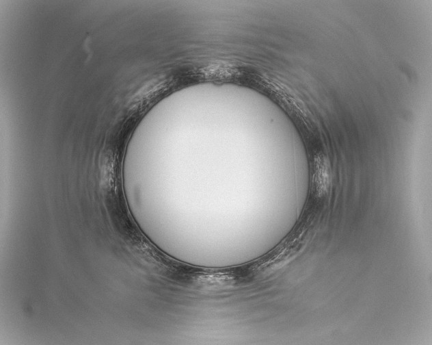 X0000116020619200912041751