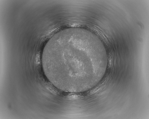 X0000116020620200912041751