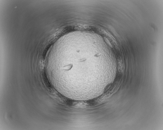 X0000116020621200912041751