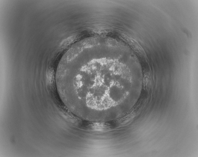 X0000116020623200912041751