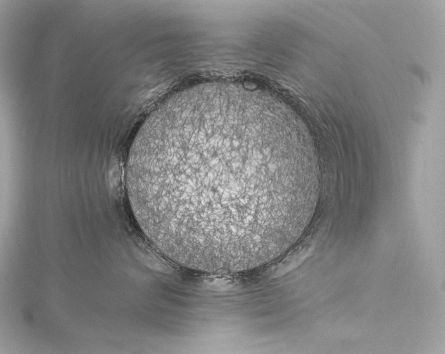 X0000116020624200912041751