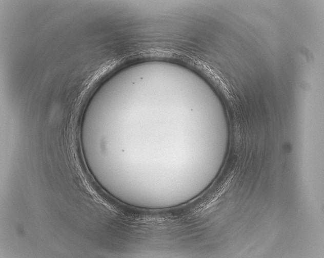 X0000116020625200912041751