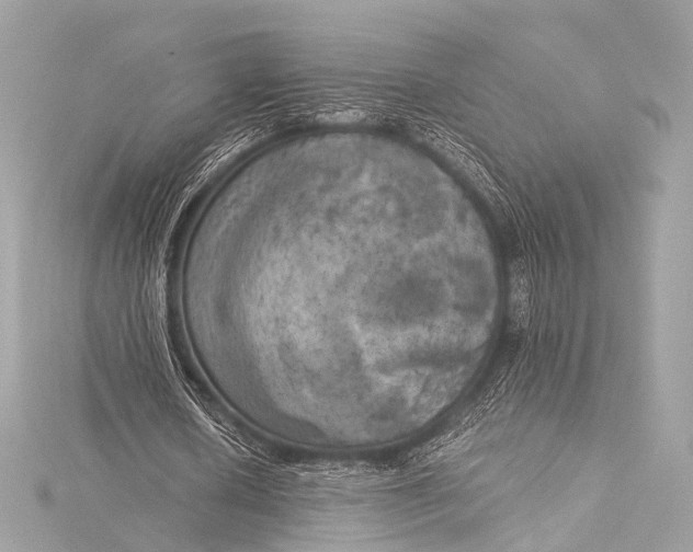 X0000116020626200912041751