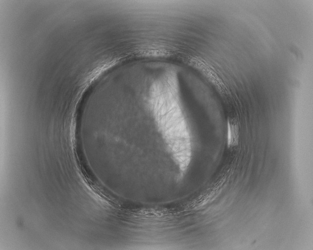 X0000116020627200912041751