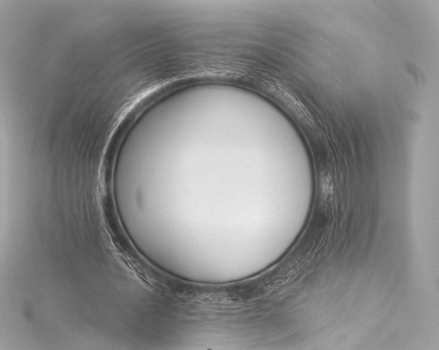 X0000116020628200912041751