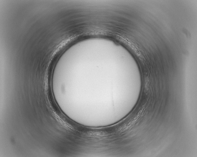 X0000116020629200912041751