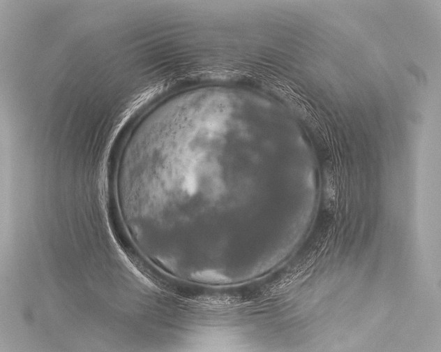 X0000116020630200912041751